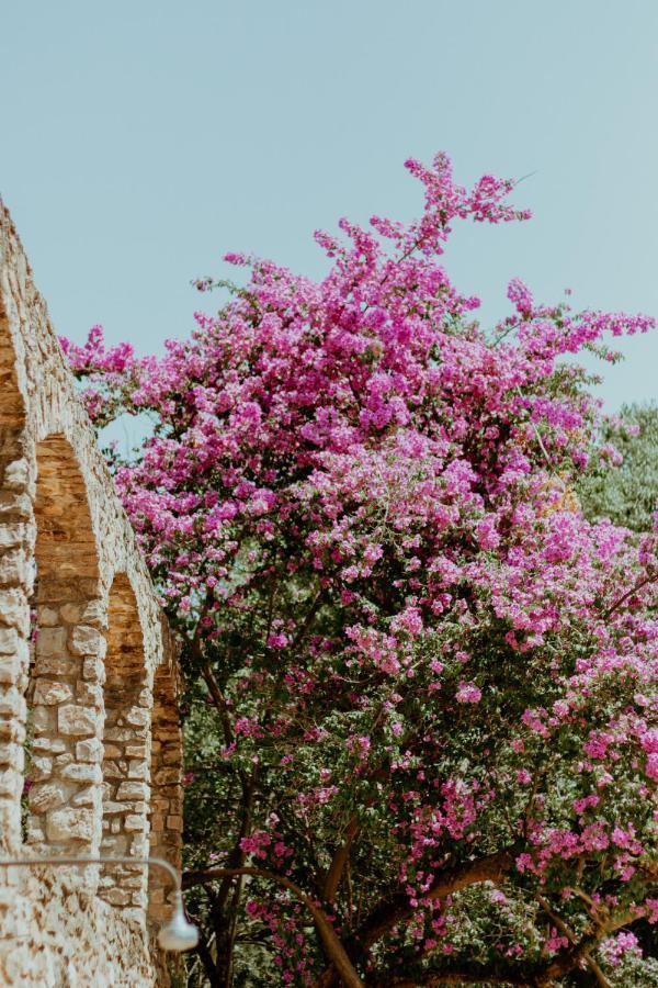 Mas Noguer Villa Girona Ngoại thất bức ảnh